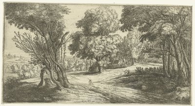 paisaje forestal de Lucas van Uden