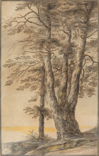 Estudio de Árboles de Lucas van Uden