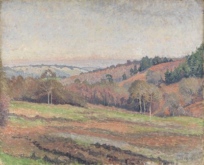 Campo de Old Mark, Coldharbour, Surrey de Lucien Pissarro