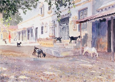 Cabras indias de Lucy Willis