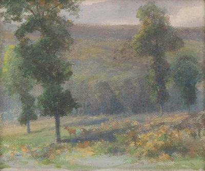 Ciervos en el bosque de Ludovit Cordak