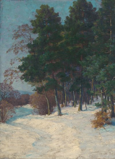 Bosque en invierno de Ludovit Cordak