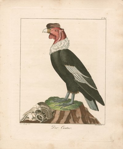  de Ludwig Christoph Tyroff