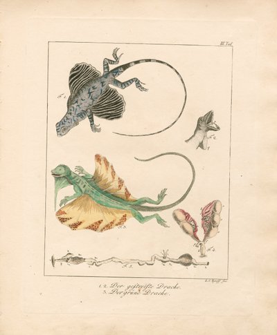  de Ludwig Christoph Tyroff