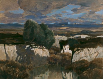 En el pantano blanco de Ludwig Dill
