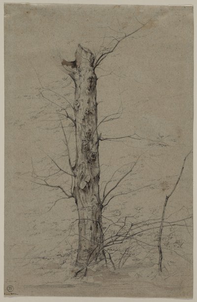 Tree de Ludwig Ferdinand Schnorr von Carolsfeld