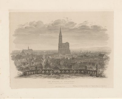 Retrato de la catedral de Straatsburg El Minster en Estrasburgo visto desde la torre este de la Iglesia de Santo Tomás (título sobre el objeto) de Ludwig Friedrich Schnell