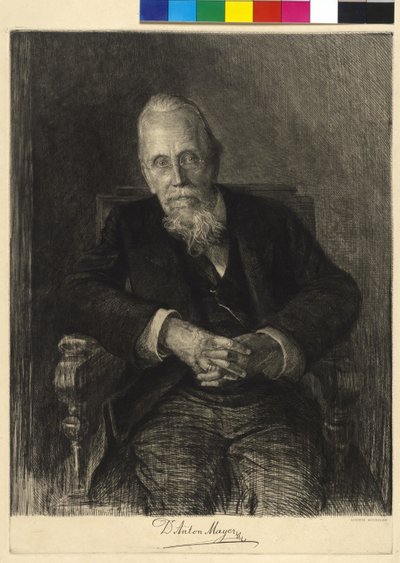 Anton Mayer de Ludwig Michalek