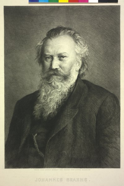 Johannes Brahms de Ludwig Michalek