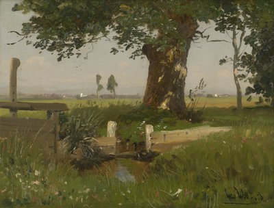 Veraniego paisaje de prados en Carintia de Ludwig Willroider
