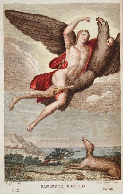 Ganimedes llevado al cielo o Ganimede Rapito, Libro X, ilustración de 