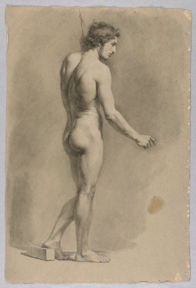 Desnudo masculino de Luigi Calamatta