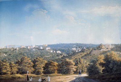 Colina de Capodimonte y villas a lo largo de la carretera Ponti Rossi de Luigi Fergola