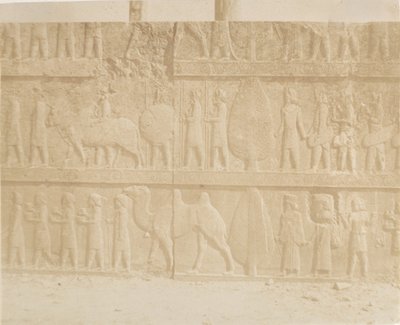 Procesión en la fachada de la Gran Escalera, 1858 de Luigi Pesce