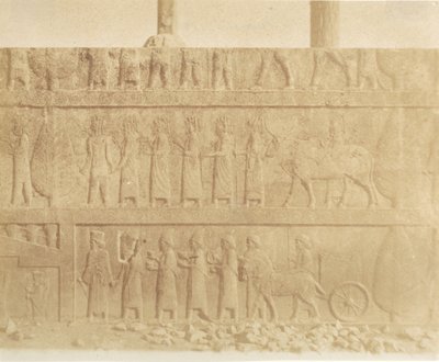 Procesión en la fachada de la gran escalera, 1858 de Luigi Pesce