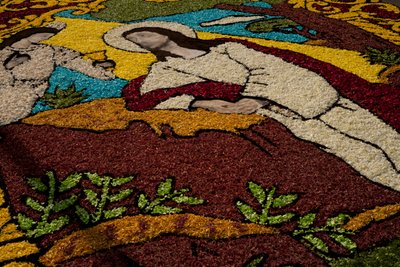 Alfombra de flores de Semana Santa, Surco, Lima, Perú, 2015 de Luis Rosendo.