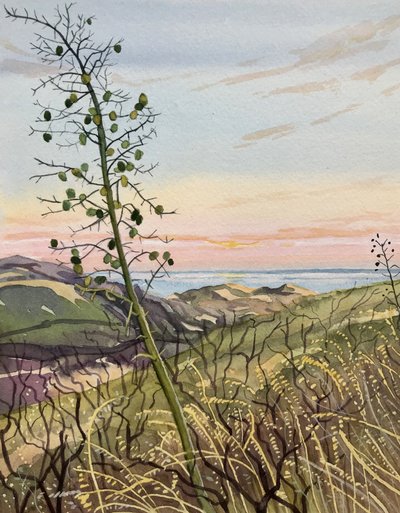 Vista del atardecer en la vegetación costera de Luisa Millicent