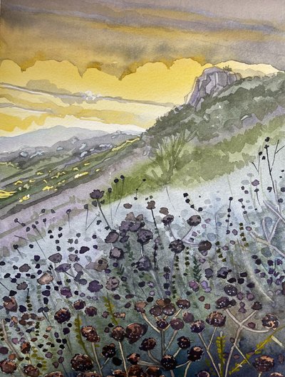 Puesta de sol en la montaña y flores silvestres de Luisa Millicent
