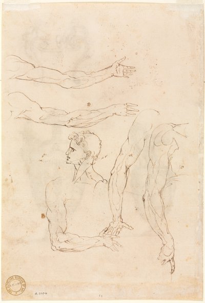 Bocetos de Cinco Brazos y una Cabeza (verso) de Luzio Romano