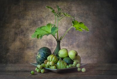 Naturaleza muerta con abundante vegetación de Lydia Jacobs