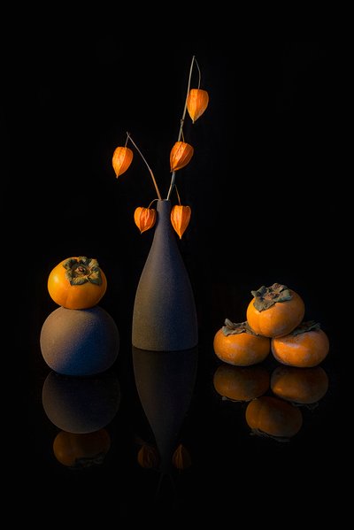  de Lydia Jacobs