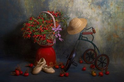 Escaramujos de otoño y triciclo de Lydia Jacobs