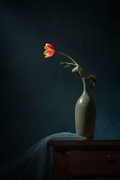 Naturaleza muerta floral oscura de Lydia Jacobs