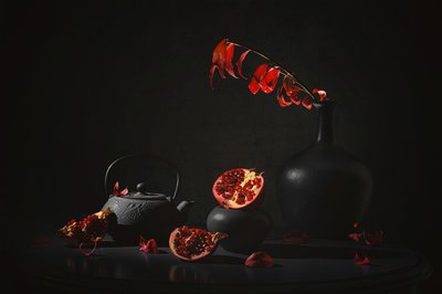  de Lydia Jacobs