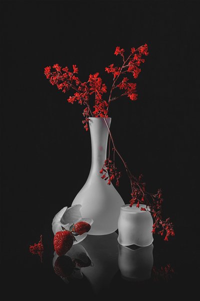  de Lydia Jacobs