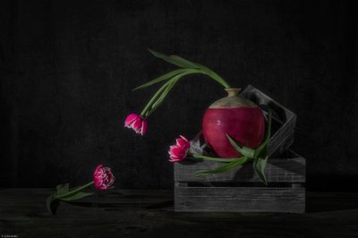  de Lydia Jacobs