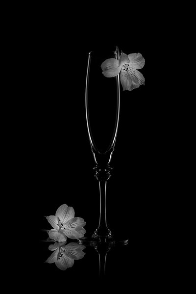 Reflejo de una delicada flor de Lydia Jacobs