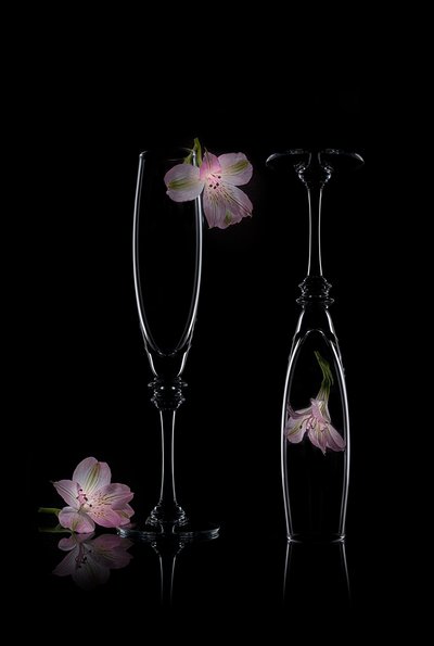 Delicada elegancia floral de Lydia Jacobs