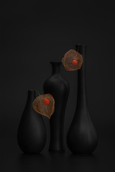 Elegante bodega de Physalis en negro de Lydia Jacobs