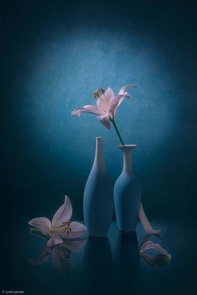  de Lydia Jacobs