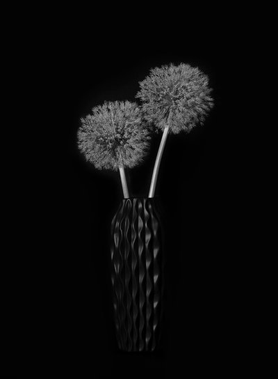 Elegante jarrón con forma de diente de león de Lydia Jacobs