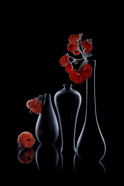 Elegante flora oscura de Lydia Jacobs