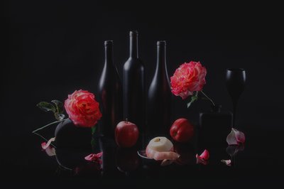  de Lydia Jacobs