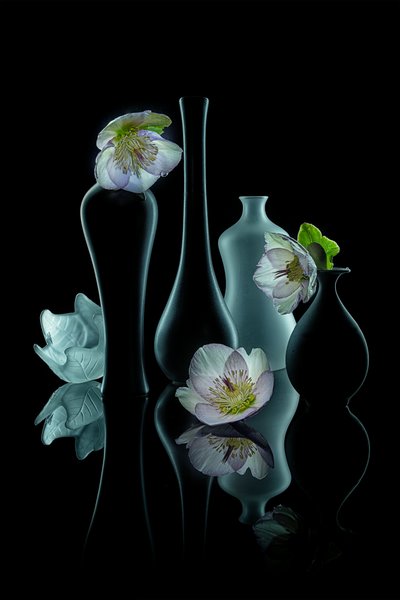  de Lydia Jacobs