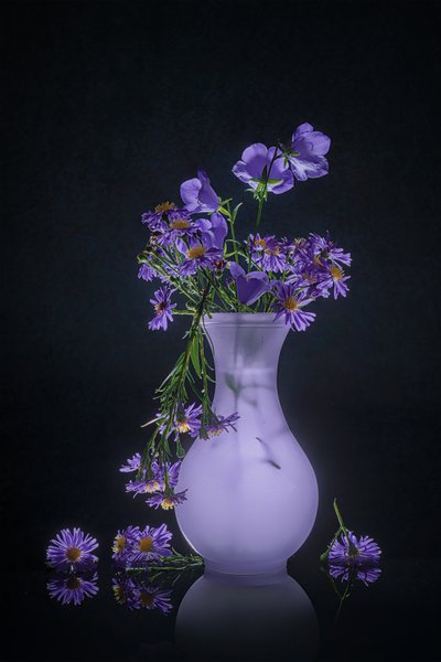 Elegante reflexión floral de Lydia Jacobs