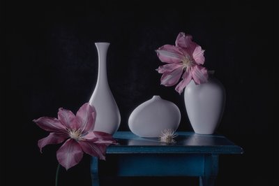 Elegante bodegón floral de Lydia Jacobs