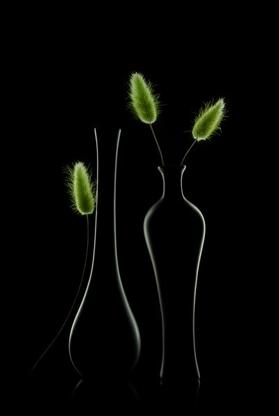 Elegante naturaleza muerta en verde de Lydia Jacobs