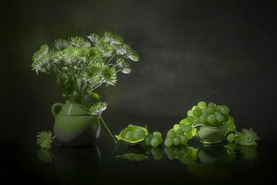 Elegante naturaleza muerta en verde de Lydia Jacobs