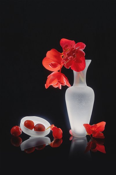 Elegante naturaleza muerta en rojo de Lydia Jacobs