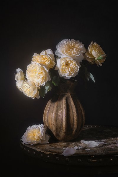 Elegante bodegón de rosas de Lydia Jacobs