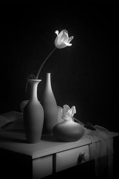 Elegante bodegón de tulipanes de Lydia Jacobs
