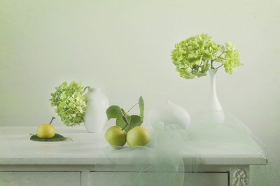 Naturaleza muerta con verduras frescas de Lydia Jacobs