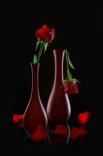 Rosas frescas y marchitas de Lydia Jacobs