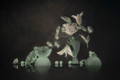  de Lydia Jacobs