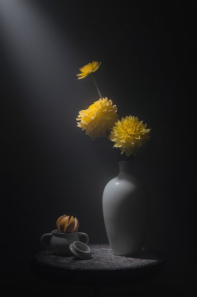  de Lydia Jacobs
