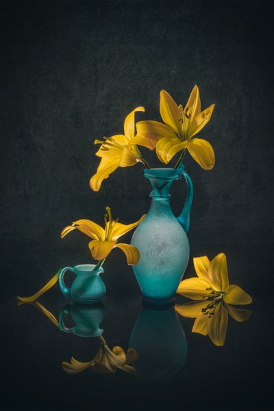  de Lydia Jacobs